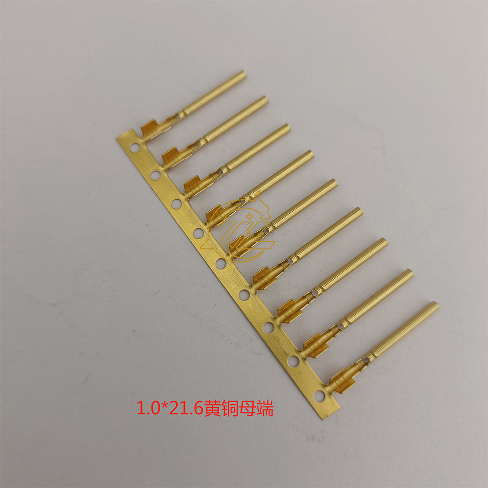 1.0单脚黄铜母端21.6长