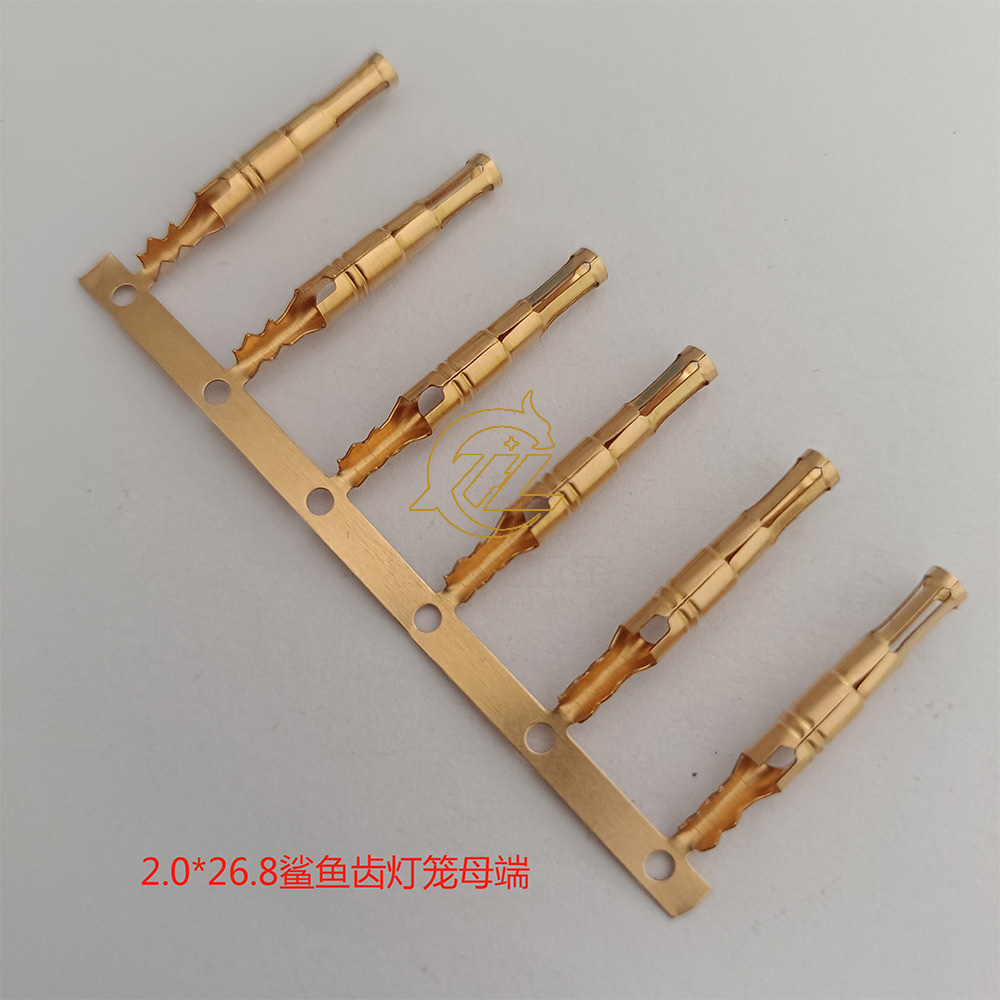 2.0鲨鱼齿灯笼母端