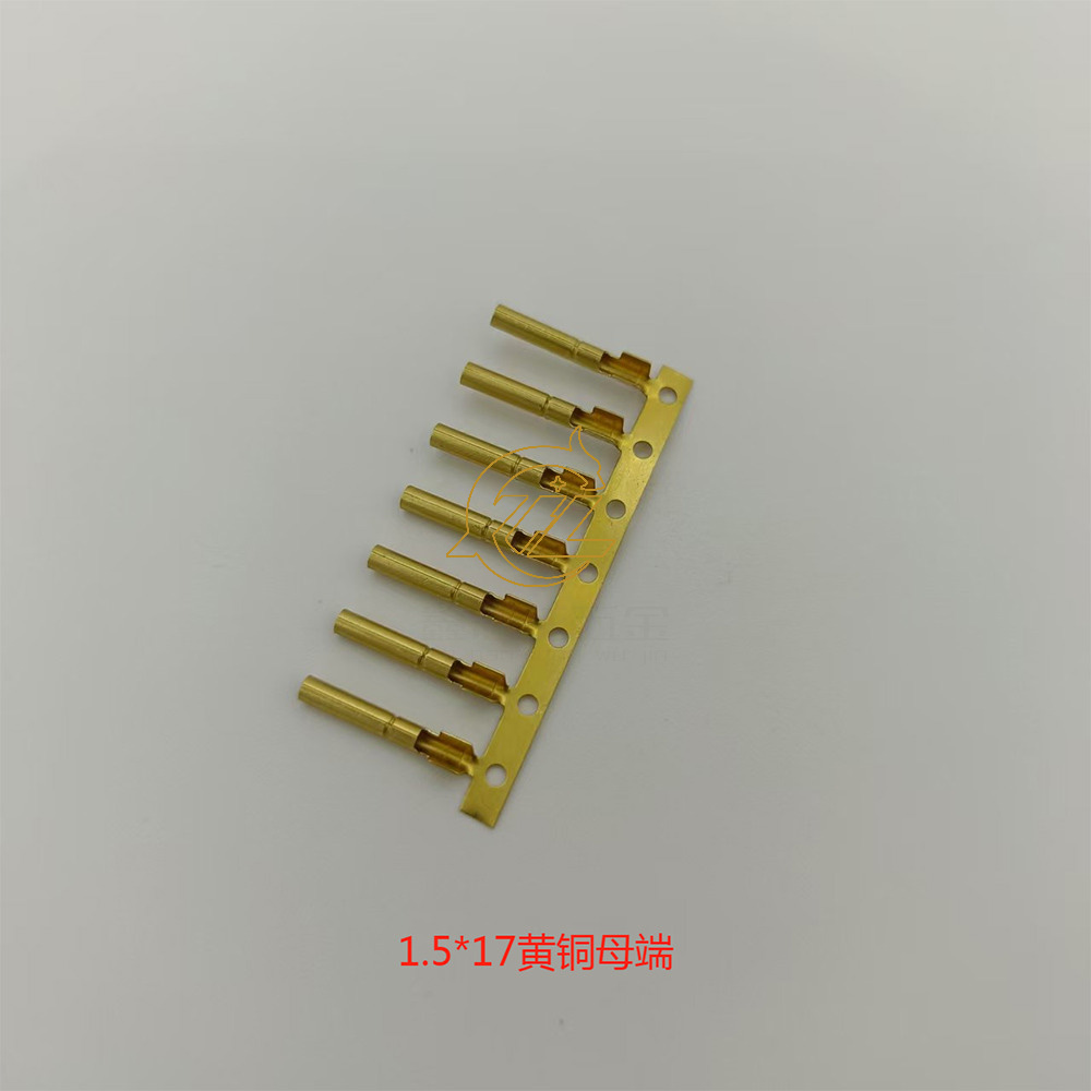 1.5黄铜大脚母端02