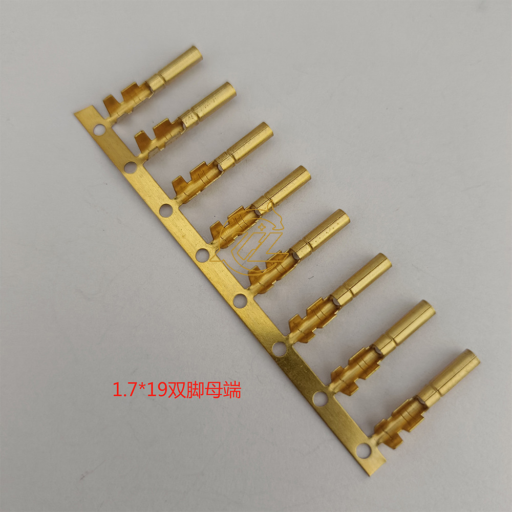 1.7双脚母端