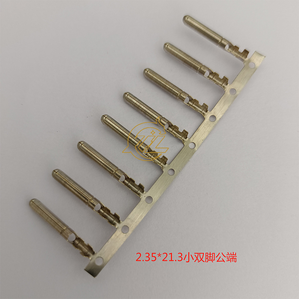 2.35小双脚公端