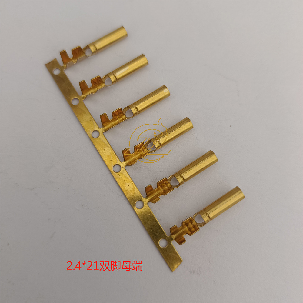2.4双脚母端