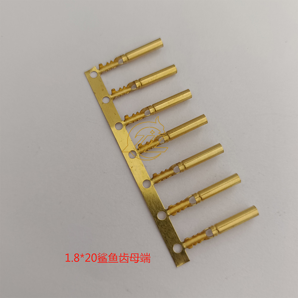 1.8鲨鱼齿母端