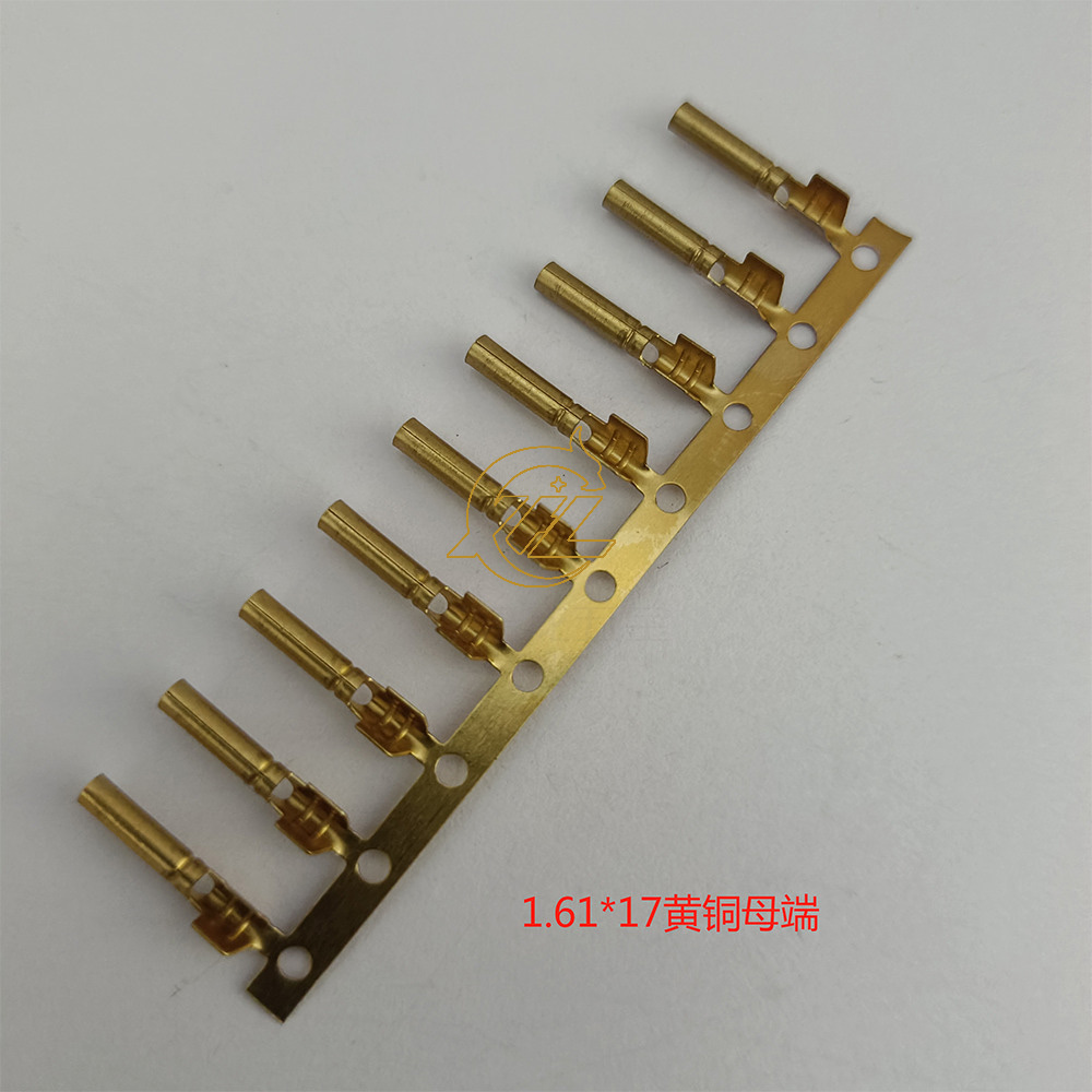 1.61黄铜母端