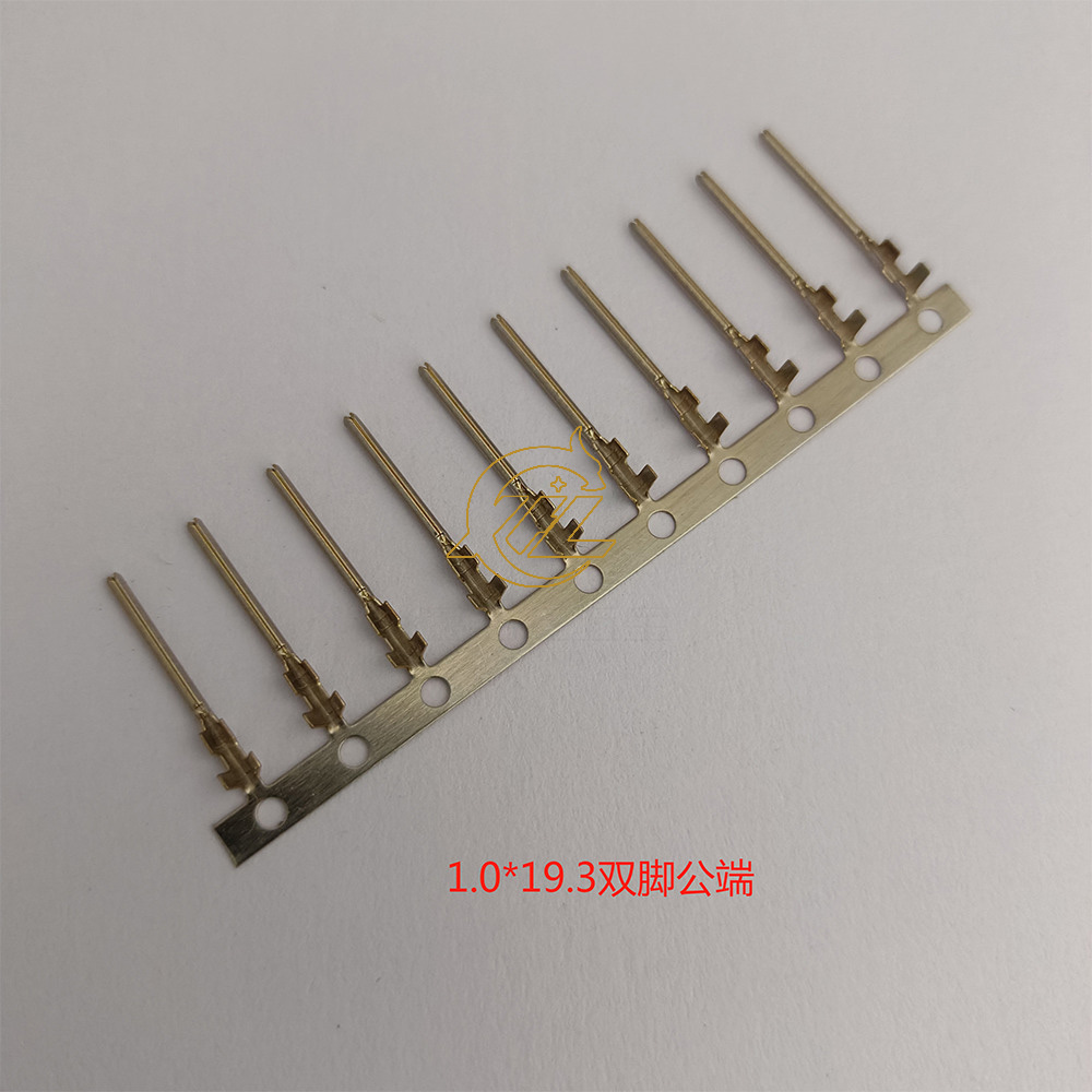 1.0双脚公端
