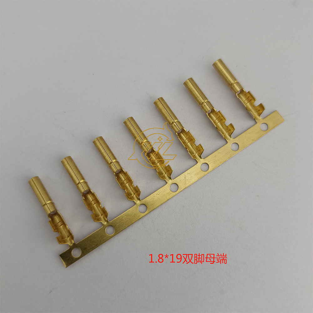 1.8双脚母端