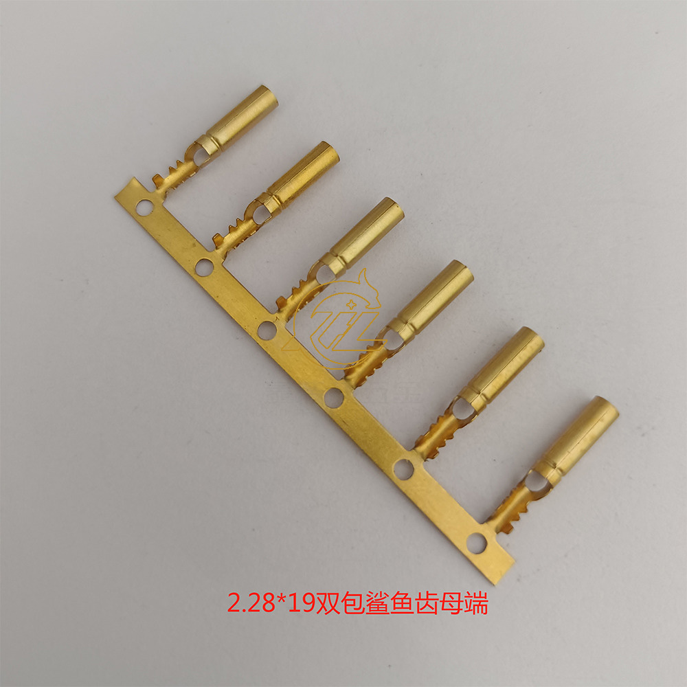2.28双包鲨鱼齿母端