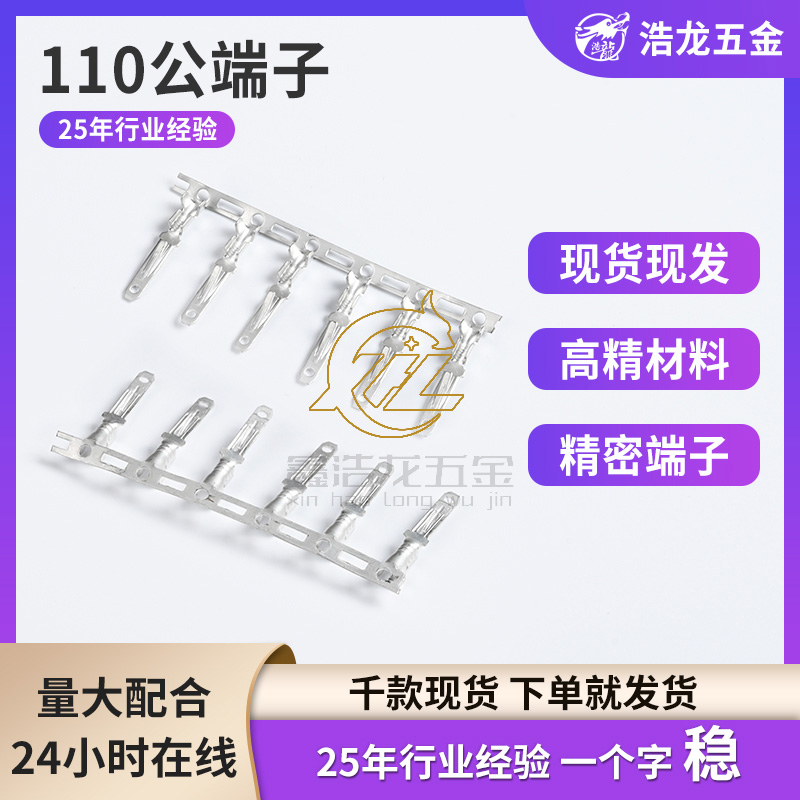 110公端子